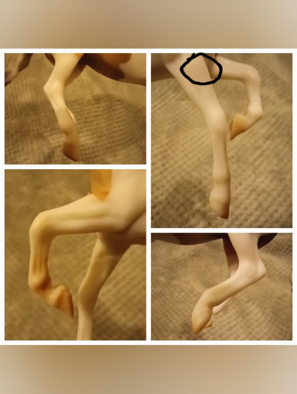 Breyer Spaetzle - Picture 15 of 16